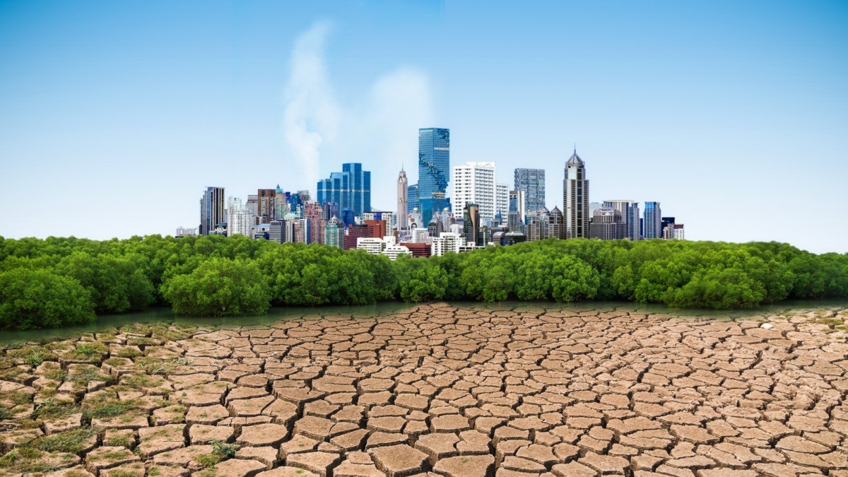 Les paysagistes face au changement climatique au Maroc