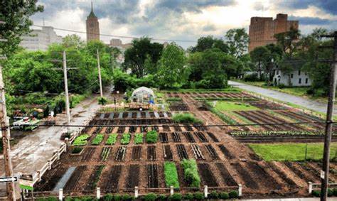 L'agriculture urbaine au Maroc