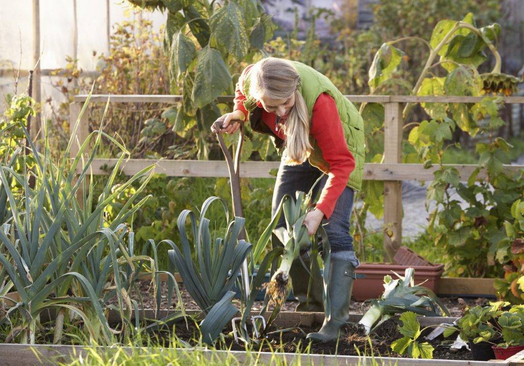 Réaliser son jardin au Maroc