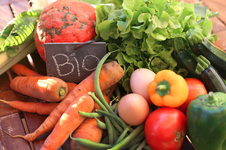 L'agriculture biologique au Maroc