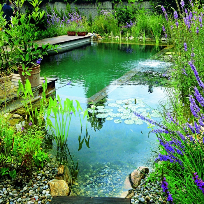 La piscine biologique au Maroc