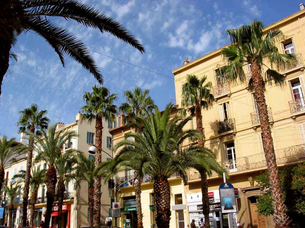 Un arbre ou un palmier pour les villes marocaines?